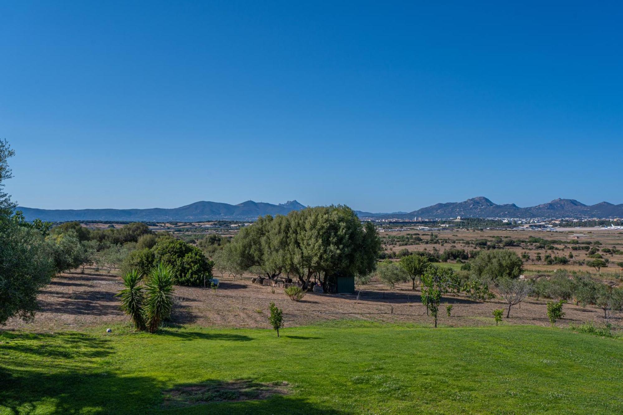 Villa Patrizia-Luxury House Olbia Zewnętrze zdjęcie